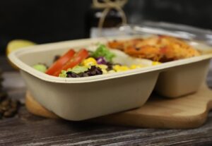 ECOPULP Biodegradable Bagasse Rectangle Lunch Box 2 Ccompartments with pet Or PP Lids 900 ml