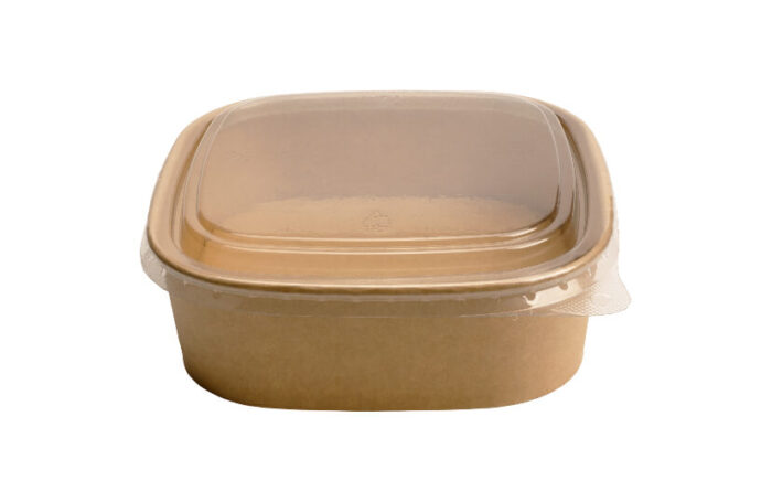 6673-9__e06daa9b03e04703a9bf4007117faab5-1