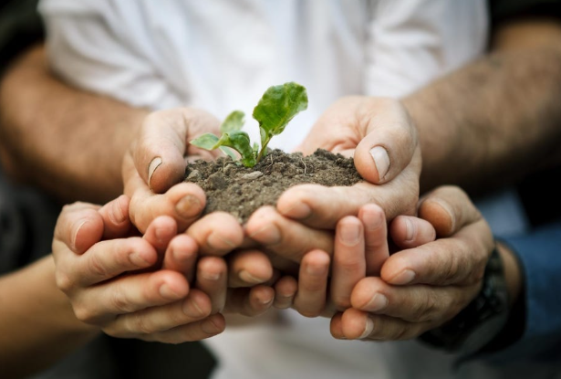 Sustainable Sourcing: The Future of Ethical Business Practices for Prodelpak