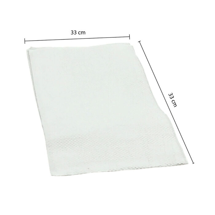 3147-2__White Teal Napkin 2 ply – 33 cm flat