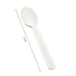 7004-2__Compostable CPLA Spoon – White 16cm