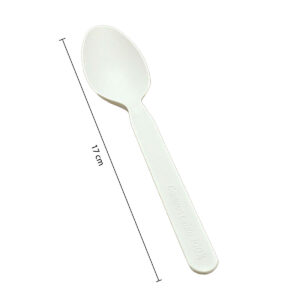 Compostable CPLA Spoon - White | 16cm