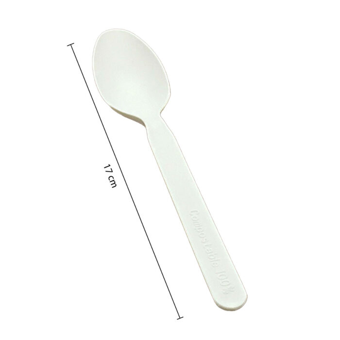 7004-2__Compostable CPLA Spoon – White 16cm