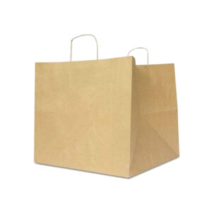 Twisted Handle Paper Bag with Base