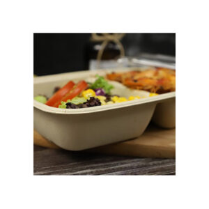 ECOPULP Biodegradable Bagasse Rectangle Lunch Box 2 Ccompartments with pet Or PP Lids 900 ml