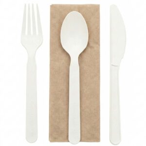 CPLA Cutlery Set (Fork, Spoon, Knife, Napkin)