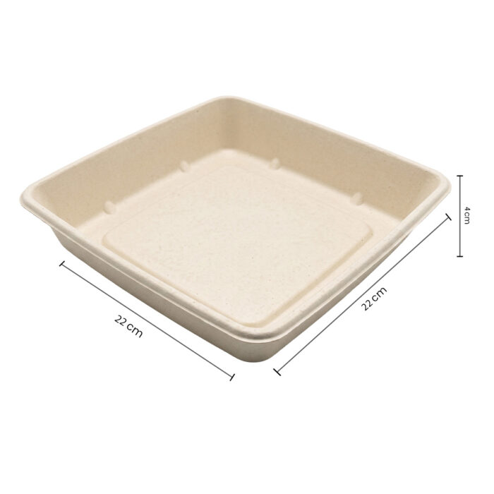 6251+6252-6__ECOPULPHRV-CS1400- 1400ML SQUARE BASE +PP LID – D