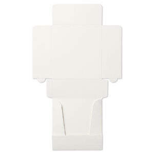 CAKE BOX 2PT 23x23x9 - WHITE