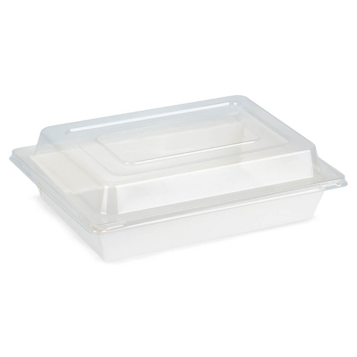 7463+7466-m__RECTANGULAR TRAY+ PET LID – 500